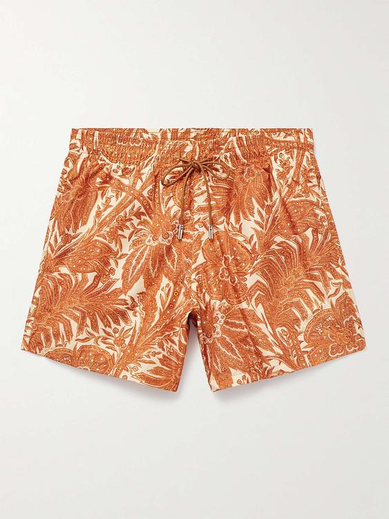 Brown swim shorts from Etro